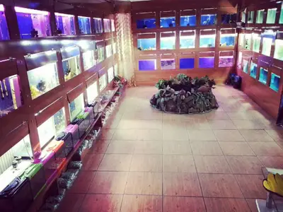Kanat petshop