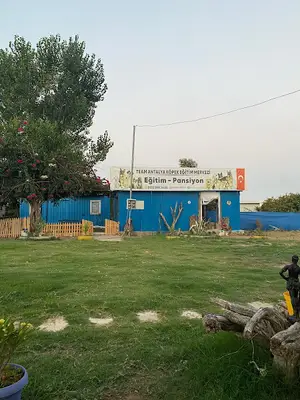 TNG KÖPEK EĞİTİM
