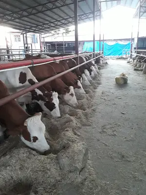 Fetih Tarım Ve Hayvancılık tc.san.