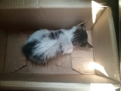 Çamardı Yaşam Veteriner Kliniğı