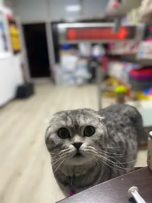 Öztürk Veteriner Kliniği