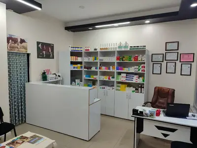 Eylül Veteriner Kliniği