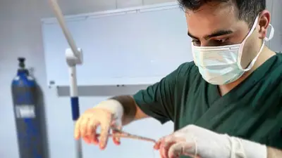 UZUNDERE VETERİNER KLİNİĞİ