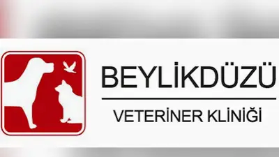 Beylikdüzü Veteriner Kliniği