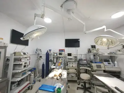 Batıkent Anka Veteriner Kliniği