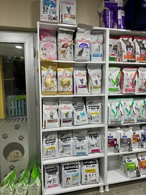 Patile veteriner kliniği