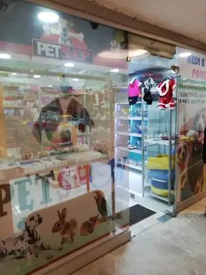 Kanka Köpek - Alya Petshop