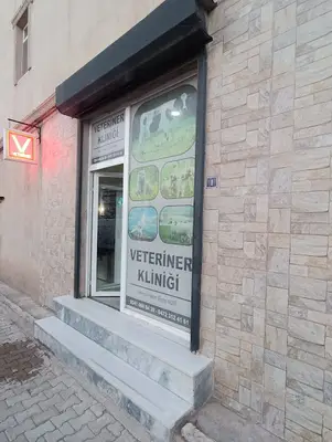 Deniz veteriner kliniği