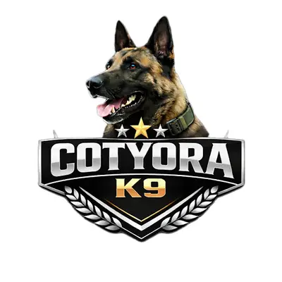 Cotyora K9 köpek eğitim ve otel Akademisi ORDU