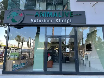 Animalive Veteriner Kliniği