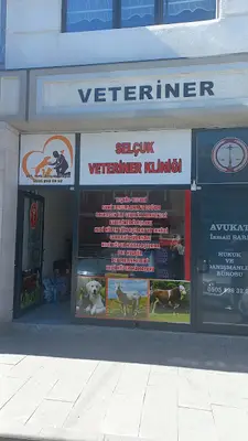 Selçuk Veteriner Kliniği incesu