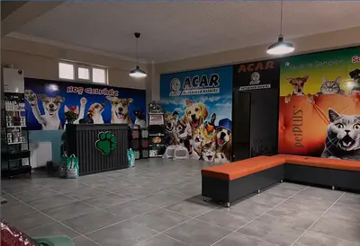 Acar Pet Plus Veteriner Kliniği