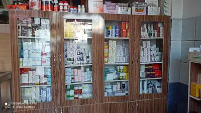 Oltu veteriner - Çevik veteriner kliniği