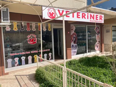 Ulutaş Veteriner Muayenehanesi
