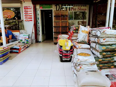 dayı akvaryum pet shop