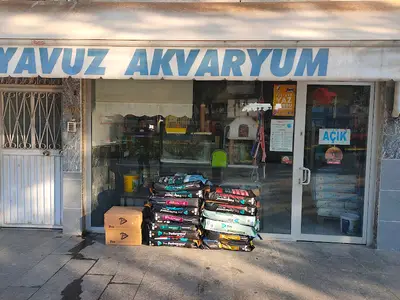 yavuz akvaryum