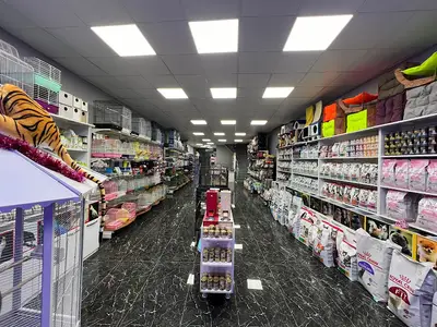 X Petshop fotoğrafı