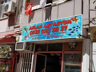 Aslan Akvaryum
