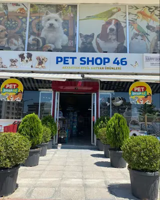 Pet Shop-Akvaryum