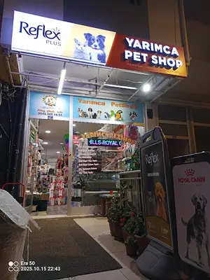 Yarımca Petshop
