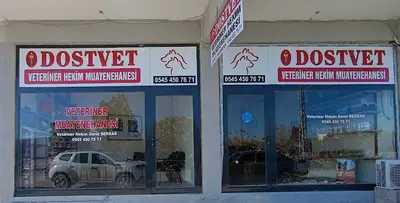 DostVet Veteriner Kliniği