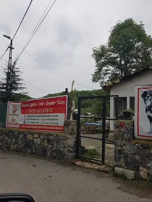 Pro Dog Club Köpek Eğitim Merkezi ve Köpek Oteli fotoğrafı