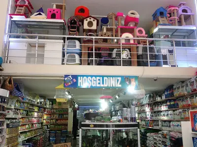 Pet Colour Petshop