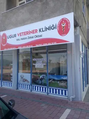 ÇINAR VETERİNER KLİNİĞİ