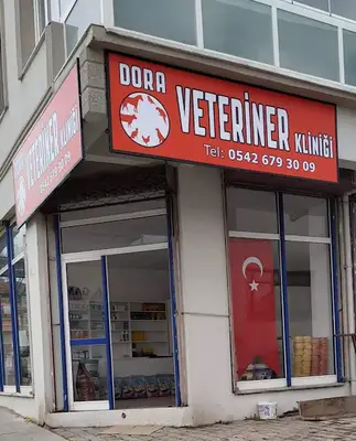 Ay-vet Veteriner