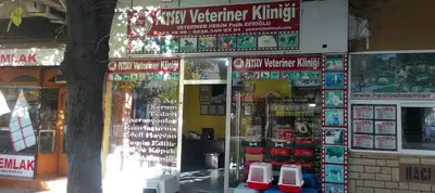 Petsev Veteriner