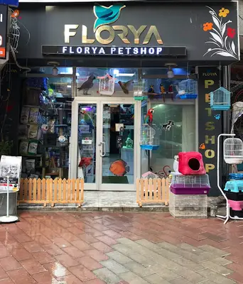 Pati Petshop