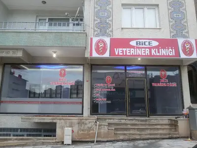 Akdeniz Veteriner Kliniği