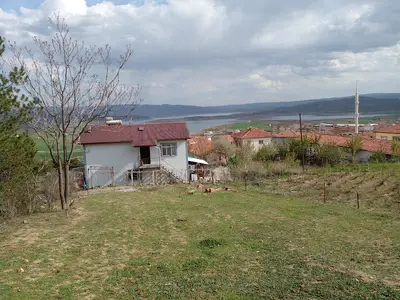 Hayvan pazarı fotoğrafı