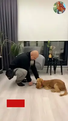 Sertaç Özer ile Köpek Eğitimi fotoğrafı