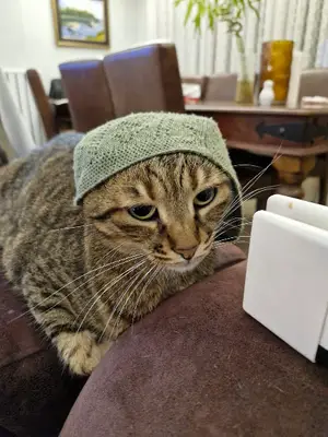 Şifa Veteriner Kliniği