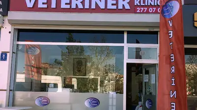 Sincan Yenikent Veteriner Kliniği