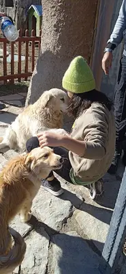 Isparta Belediyesi Hayvan Barınağı