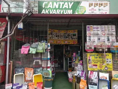 Mercan Akvaryum