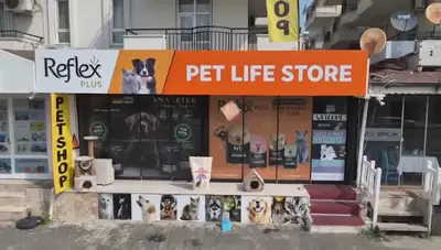 Side Petshop Pet Life Store