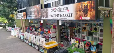 YİĞİT PET MARKET 1 ( PET SHOP )