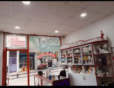 Güce Veteriner Klinigi