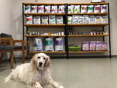 VetCo Veteriner Kliniği