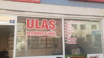 Veteriner Kliniği