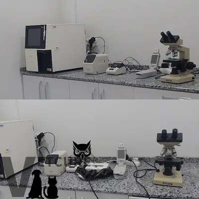 Vetcur Aliağa veteriner kliniği