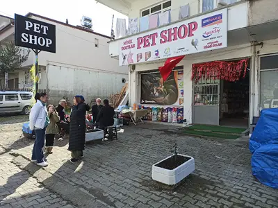 Minik Dostlar Petshop