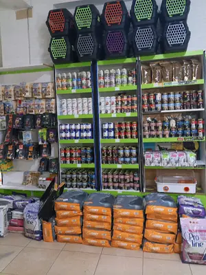 CASPER ANIMAL PET MARKET(Hoca Ahmet yesevi 154B-Yunus kanmaz-