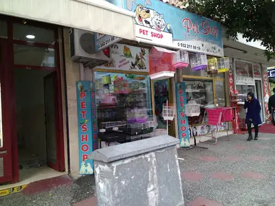 Aydin Pet Shop