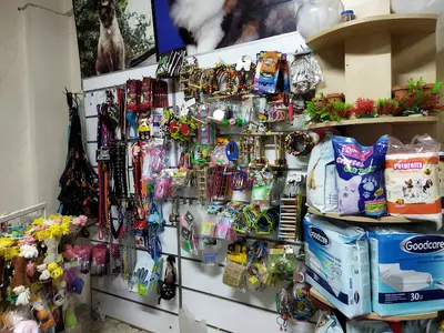 Nemo Pet Shop
