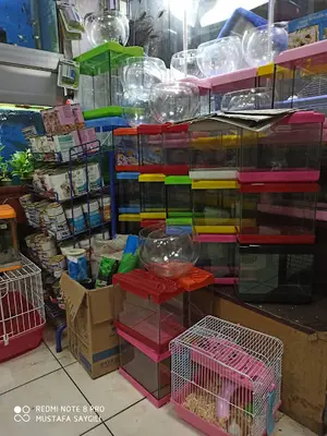 Atlantis pet shop