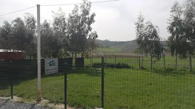 ADANA DOG CLUB köpek eğitim merkezi ve oteli